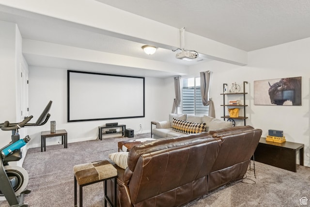 1076 S Meadow Walk Ln, Heber City, UT 84032 - cinema room with carpet flooring and baseboards