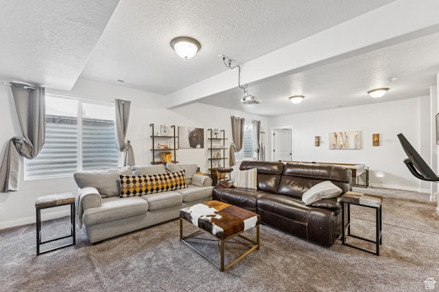 1076 S Meadow Walk Ln, Heber City, UT 84032 - living area featuring a textured ceiling, healthy amount of natural light, and carpet floors