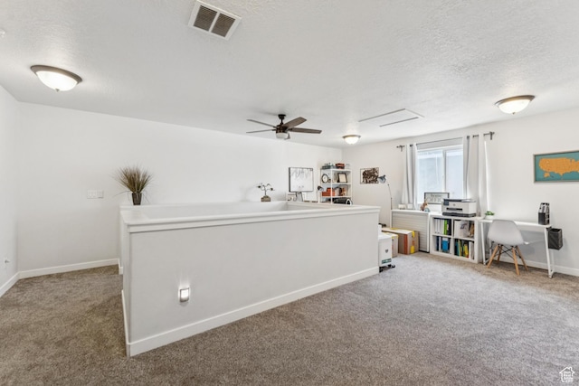 1076 S Meadow Walk Ln, Heber City, UT 84032 - office space with carpet, a textured ceiling, and ceiling fan