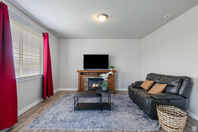 1017 W Coyote Gulch Way S Unit 117, Bluffdale, UT 84065 - living area featuring wood finished floors and a fireplace