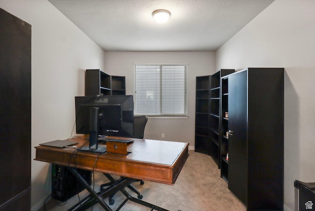 1017 W Coyote Gulch Way S Unit 117, Bluffdale, UT 84065 - carpeted office space with baseboards