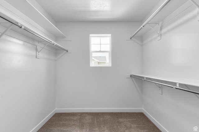 6767 N Star Dr, Eagle Mountain, UT 84005 - photo 13