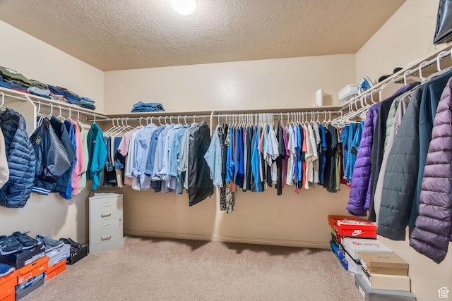 52 N 1100 W, Springville, UT 84663 - walk in closet with carpet floors