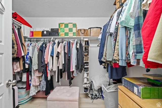 3634 S Creek Side Ln, Syracuse, UT 84075 - spacious closet with wood finished floors