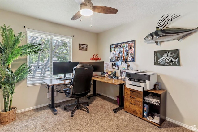 2772 E 3575 N, Layton, UT 84040 - home office featuring light colored carpet, a ceiling fan, and a textured ceiling