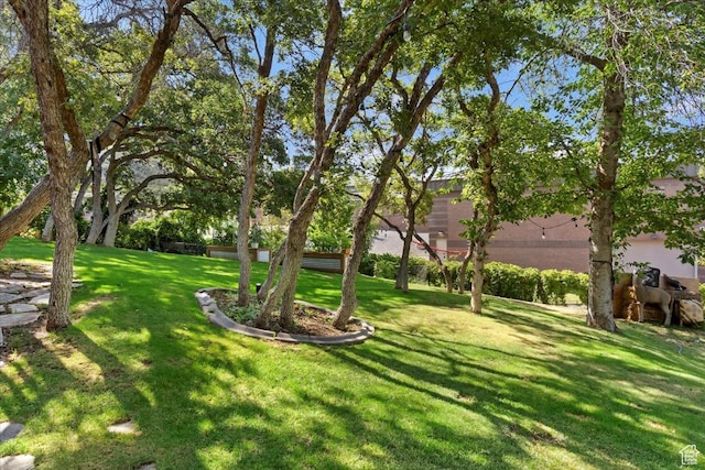 2772 E 3575 N, Layton, UT 84040 - view of grassy yard