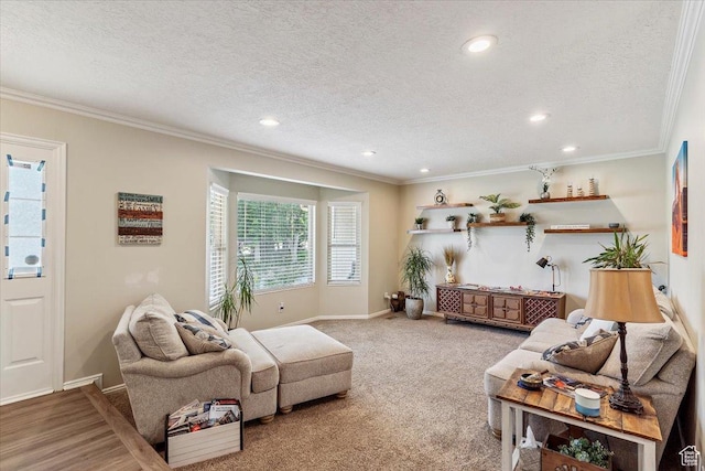 2772 E 3575 N, Layton, UT 84040 - carpeted living room with ornamental molding, recessed lighting, and a textured ceiling