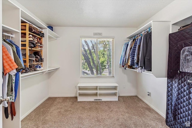 2772 E 3575 N, Layton, UT 84040 - spacious closet with carpet flooring