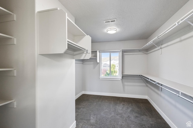 7672 N Evans Ranch Dr E, Eagle Mountain, UT 84005 - walk in closet with dark carpet