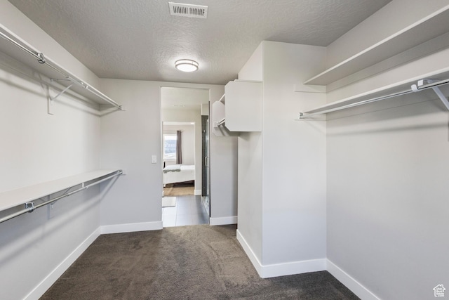 7672 N Evans Ranch Dr E, Eagle Mountain, UT 84005 - spacious closet with carpet flooring