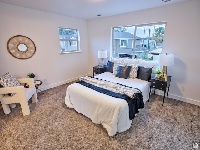 257 N 900 W, Provo, UT 84601 - carpeted bedroom featuring multiple windows