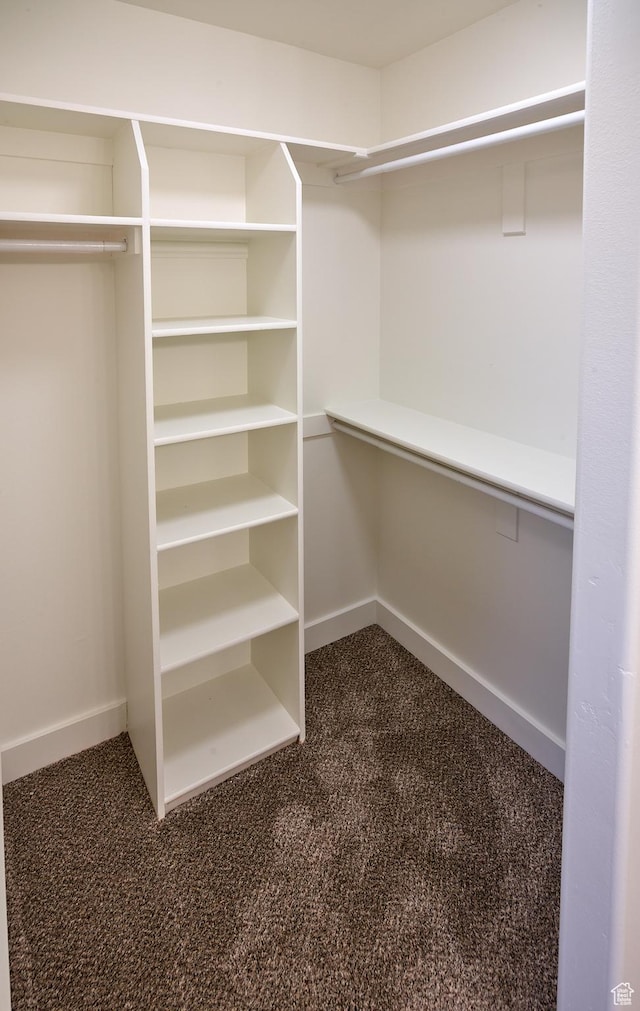257 N 900 W, Provo, UT 84601 - spacious closet featuring dark colored carpet