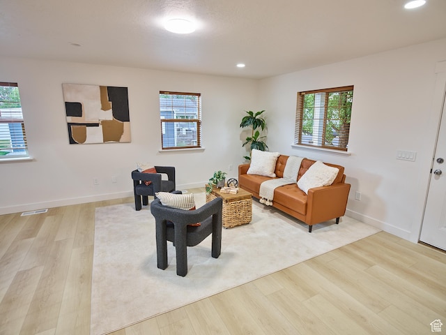 257 N 900 W, Provo, UT 84601 - living area featuring wood finished floors, healthy amount of natural light, and recessed lighting