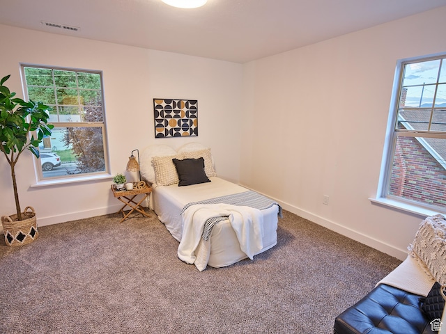 257 N 900 W, Provo, UT 84601 - carpeted bedroom with baseboards