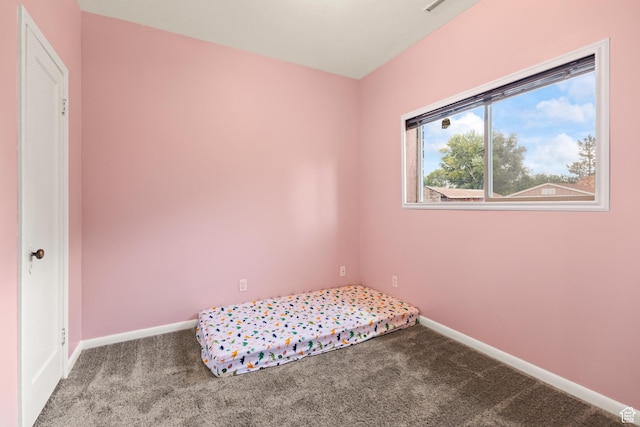407 E 200 N, Richfield, UT 84701 - unfurnished bedroom featuring carpet flooring and baseboards