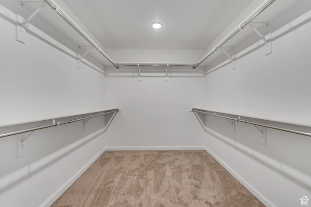 2123 N Wallflower Dr, Saratoga Springs, UT 84045 - spacious closet featuring light carpet