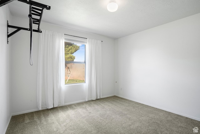 1655 Maplewood Way, St George, UT 84790 - carpeted empty room with baseboards