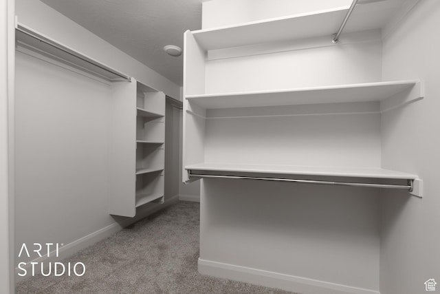 668 E Fiddlers Cove Dr Unit 35, Cedar City, UT 84721 - spacious closet featuring carpet