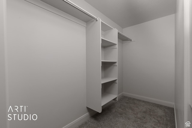 668 E Fiddlers Cove Dr Unit 35, Cedar City, UT 84721 - walk in closet with dark carpet