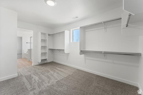 737 N Plainsman Dr Unit 108, Spanish Fork, UT 84660 - spacious closet featuring carpet floors