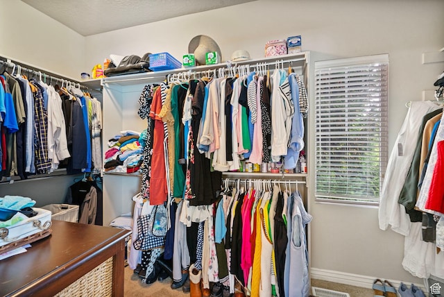 598 W Sandhill Dr, Lehi, UT 84043 - walk in closet with carpet floors
