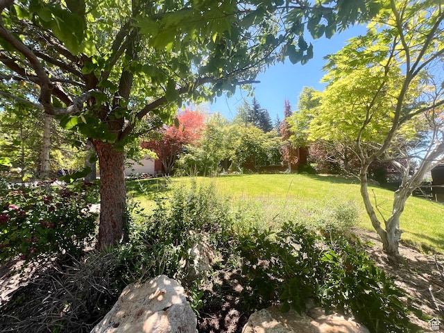 3550 E Oakview Dr, Millcreek, UT 84124 - view of green lawn