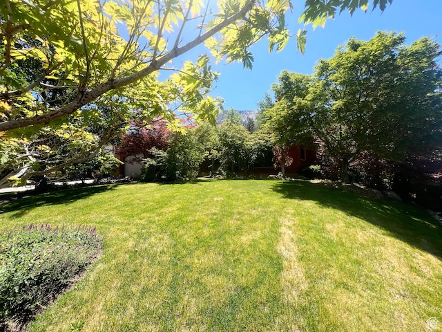3550 E Oakview Dr, Millcreek, UT 84124 - view of grassy yard