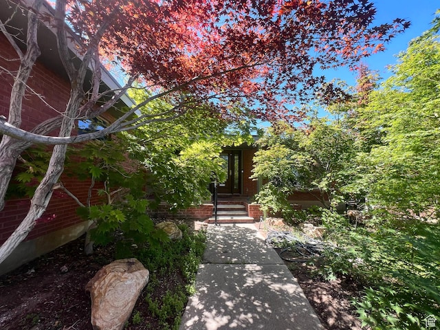 3550 E Oakview Dr, Millcreek, UT 84124 - view of yard