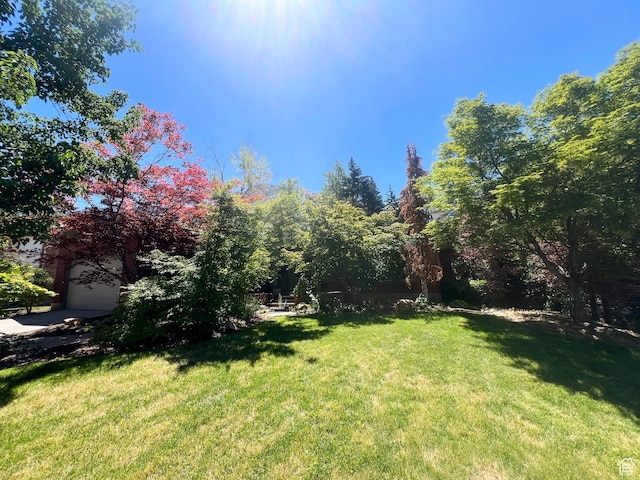 3550 E Oakview Dr, Millcreek, UT 84124 - view of grassy yard