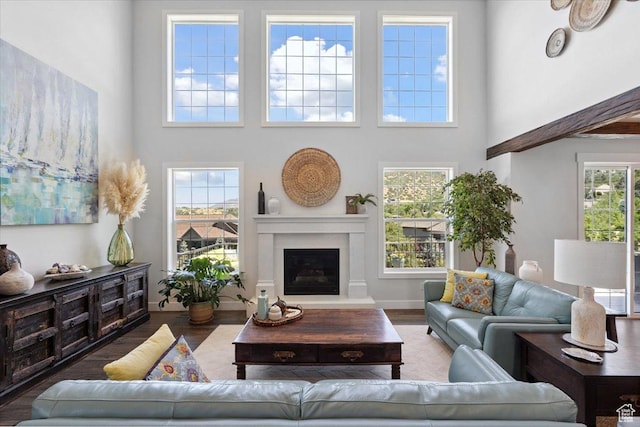 10865 S Hiddenwood Dr, Sandy, UT 84092 - living area with a towering ceiling, a glass covered fireplace, and wood finished floors
