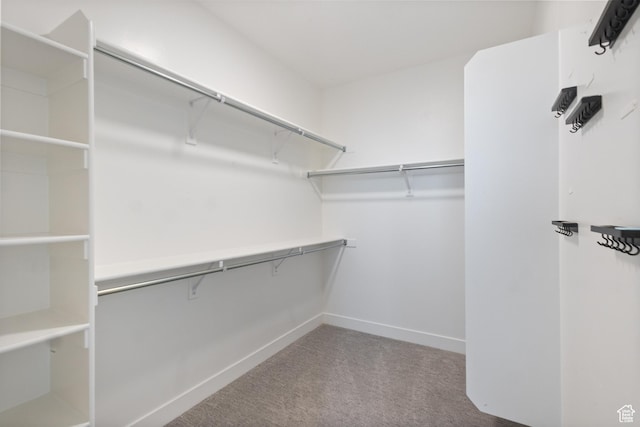 3973 N 900 W, Lehi, UT 84043 - walk in closet with carpet