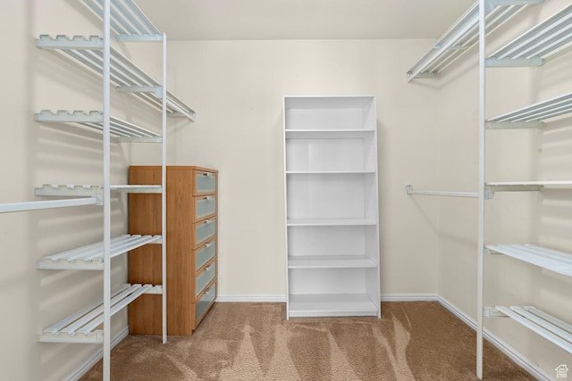 3548 E Wasatch Hills Ln S, Cottonwood Heights, UT 84121 - walk in closet with carpet floors