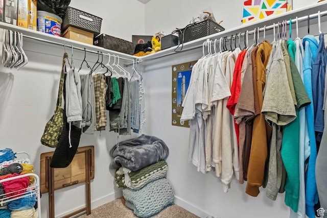 7603 S Scenic Maple Dr S, West Jordan, UT 84081 - walk in closet with carpet flooring