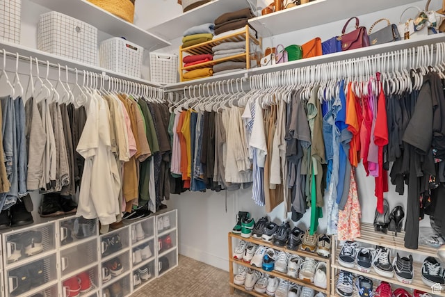 7603 S Scenic Maple Dr S, West Jordan, UT 84081 - spacious closet with carpet