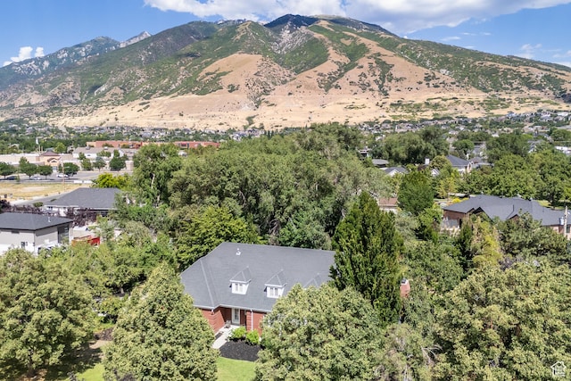 13251 S 1162 E, Draper, UT 84020 - mountain view