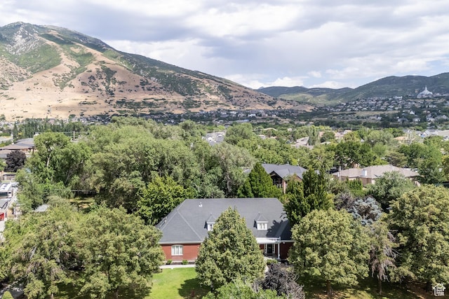 13251 S 1162 E, Draper, UT 84020 - mountain view