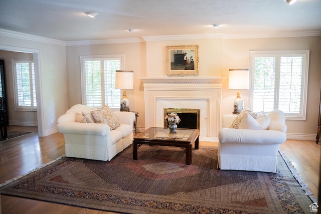 13251 S 1162 E, Draper, UT 84020 - living room featuring wood finished floors, a glass covered fireplace, and crown molding
