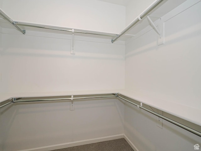 609 E 460 S, American Fork, UT 84003 - view of walk in closet