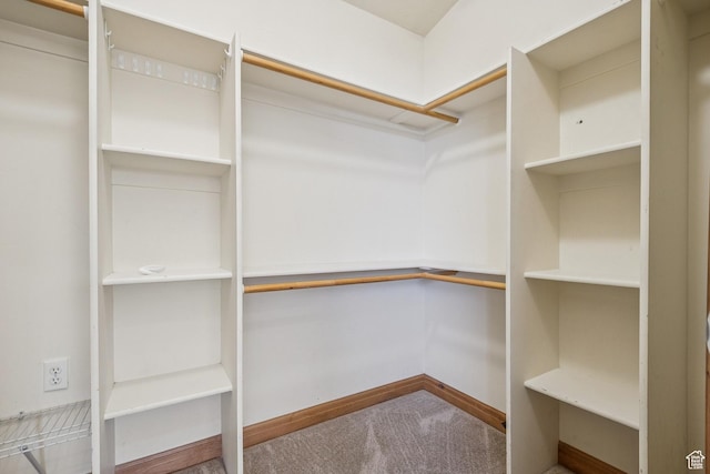 1516 S Lost Colt Dr, Heber City, UT 84032 - spacious closet with carpet floors