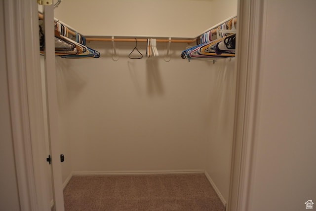 1452 N 3925 W, Marriott Slaterville, UT 84404 - walk in closet with carpet floors