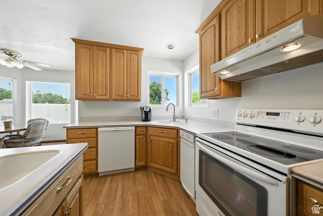 3036 S Dovetail Dr, West Valley City, UT 84128 - kitchen featuring white appliances, under cabinet range hood, light wood-type flooring, and plenty of natural light
