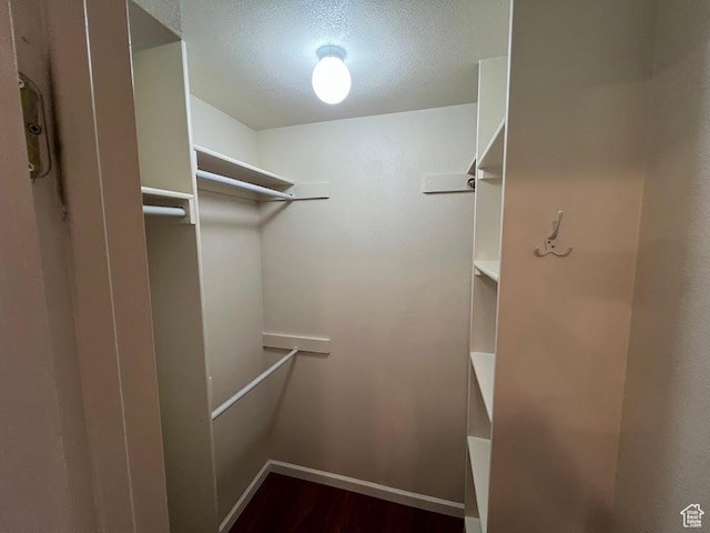 1809 W 7600 S Unit E303, West Jordan, UT 84084 - spacious closet featuring dark wood finished floors