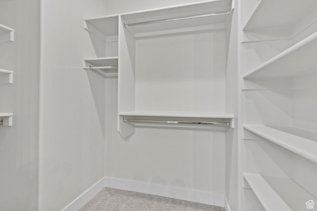169 N 3670 W, Hurricane, UT 84737 - spacious closet featuring carpet floors