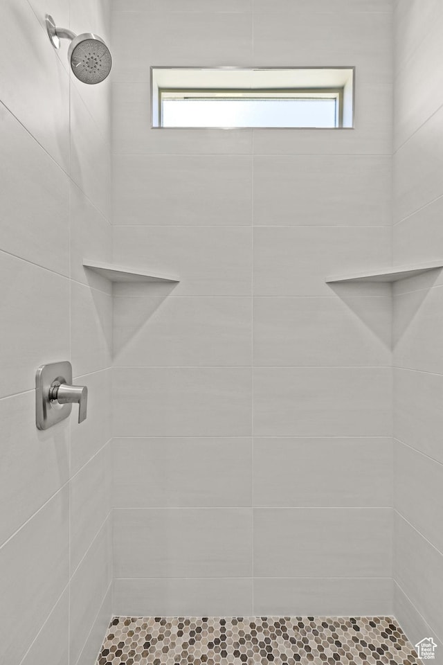 169 N 3670 W, Hurricane, UT 84737 - bathroom featuring tiled shower and healthy amount of natural light