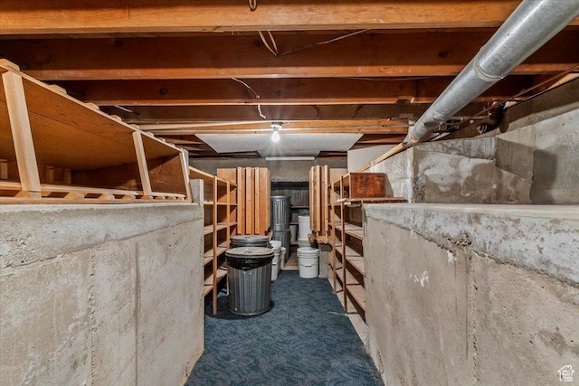 7459 W 3100 S, Magna, UT 84044 - view of storage area