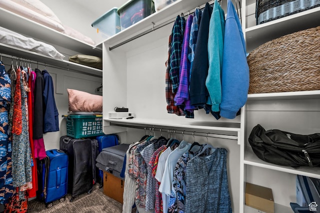 765 N 400 W Unit 205, Salt Lake City, UT 84103 - spacious closet featuring carpet floors