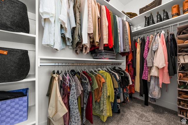 765 N 400 W Unit 205, Salt Lake City, UT 84103 - spacious closet with carpet floors