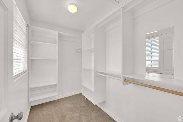 7187 Villandrie Ln, Cottonwood Heights, UT 84121 - photo 24
