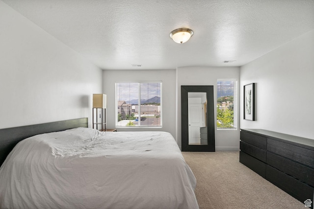 655 W 1430 S, Orem, UT 84058 - bedroom featuring light carpet, multiple windows, and a textured ceiling