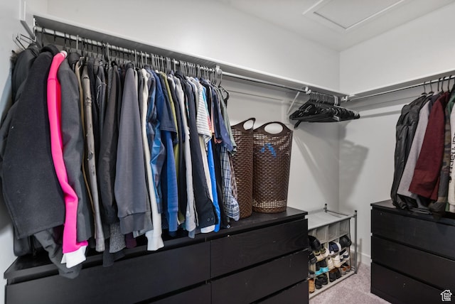 655 W 1430 S, Orem, UT 84058 - walk in closet featuring carpet flooring and attic access